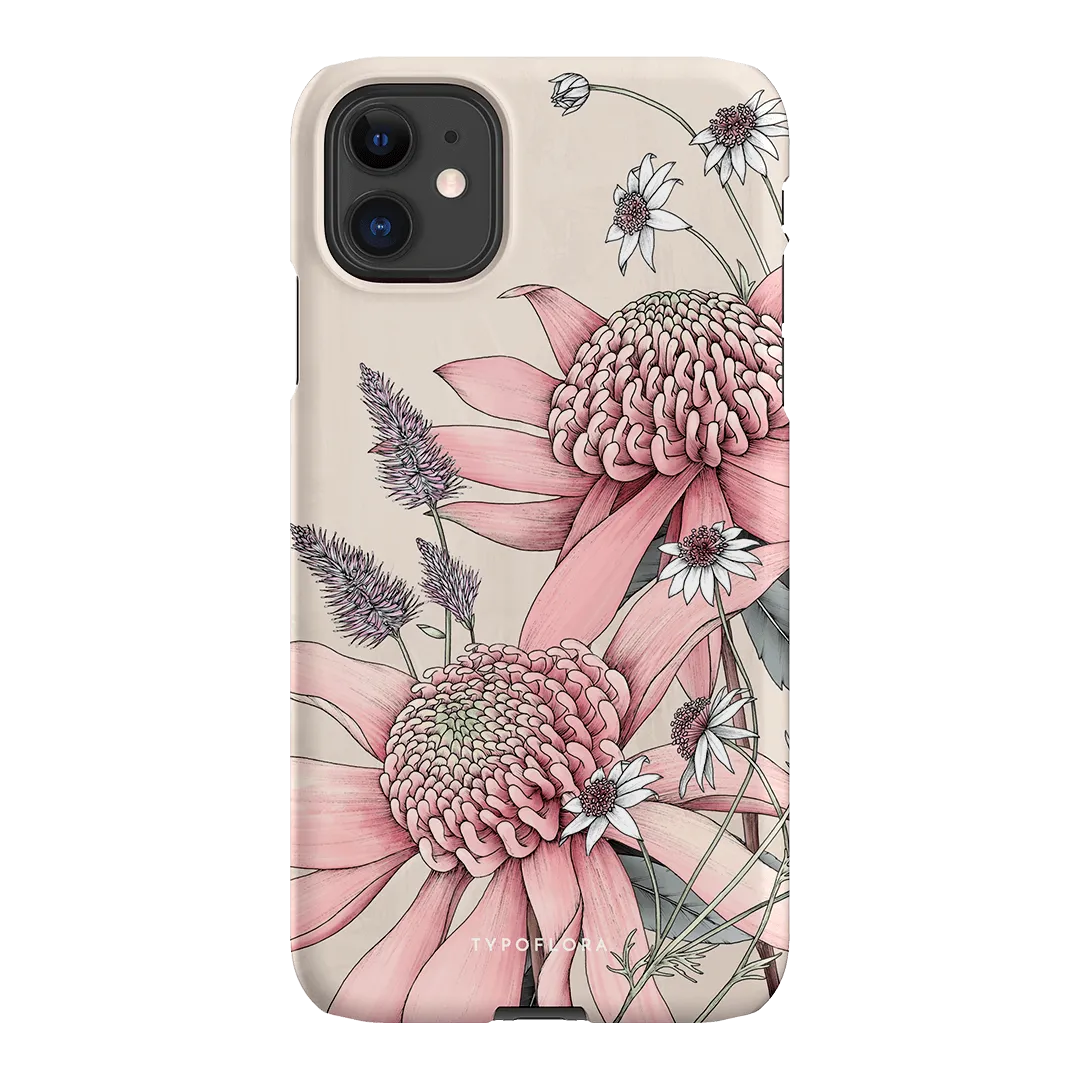 Pink Waratah