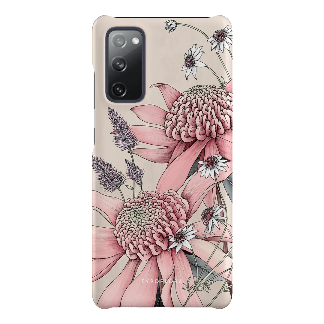 Pink Waratah