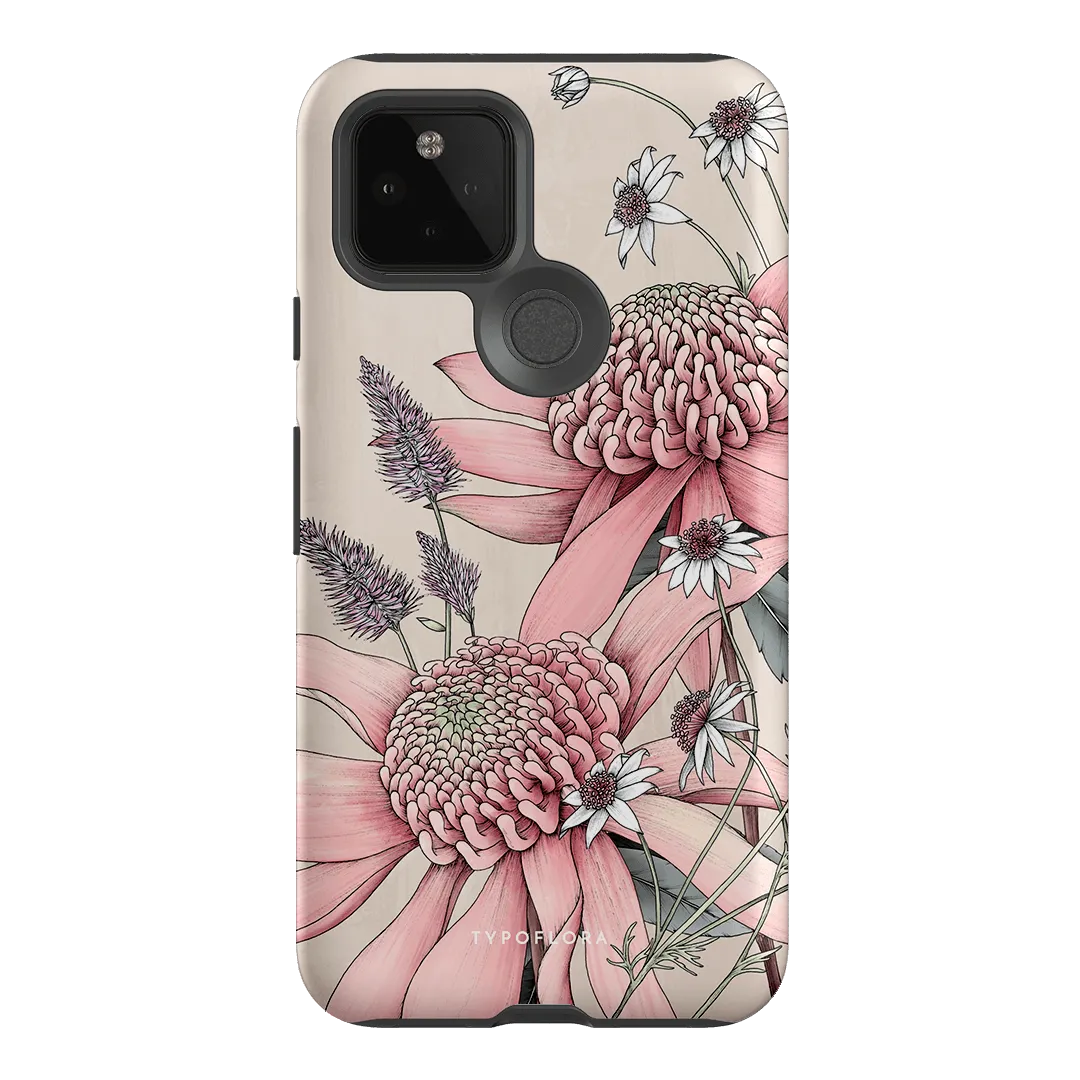 Pink Waratah