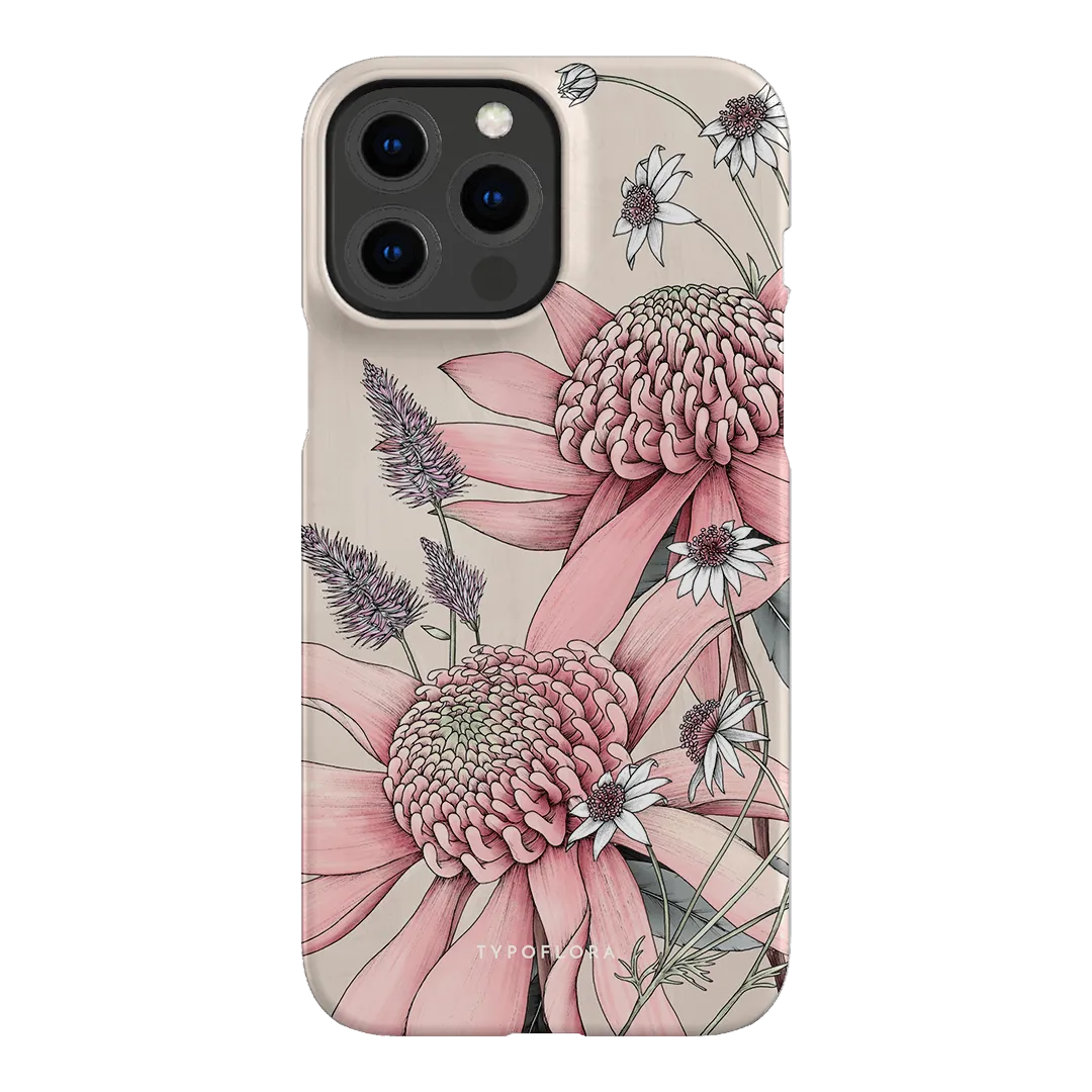 Pink Waratah