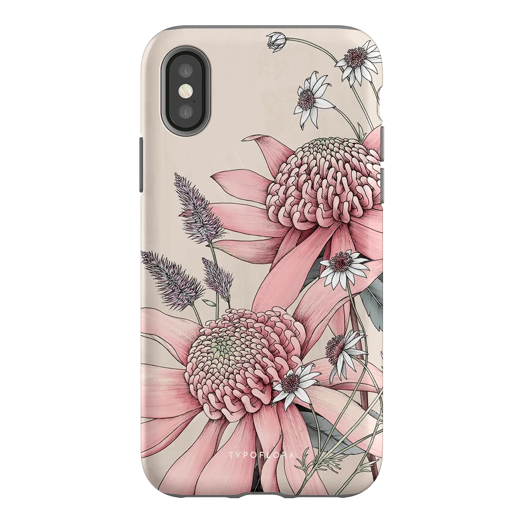 Pink Waratah