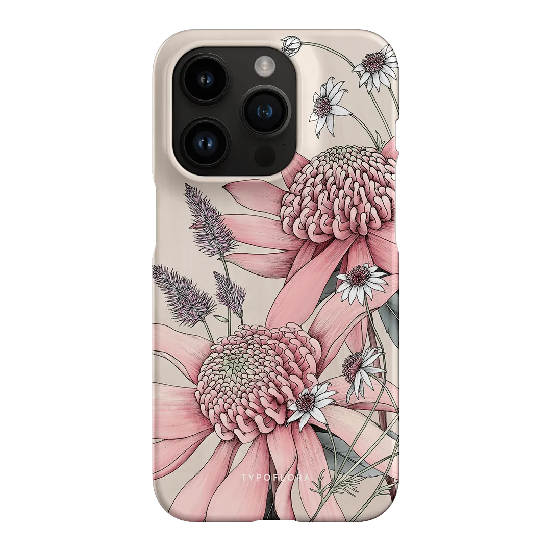 Pink Waratah