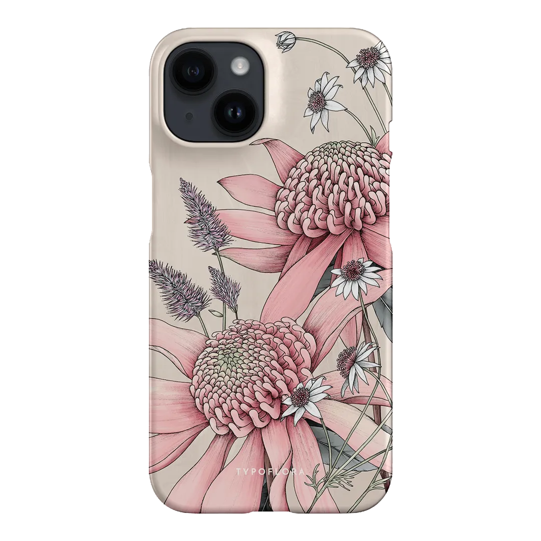 Pink Waratah