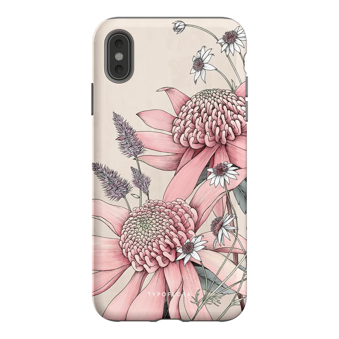 Pink Waratah