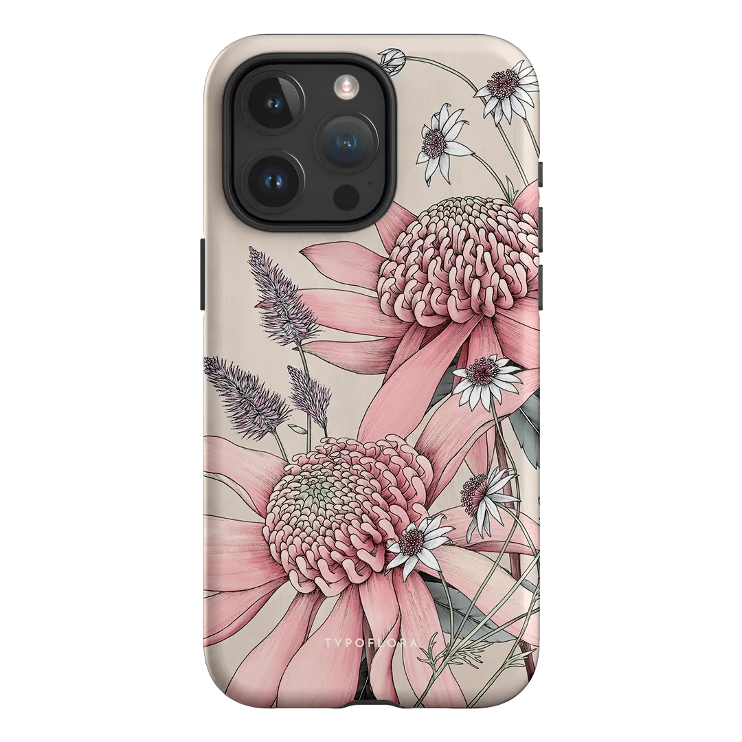 Pink Waratah