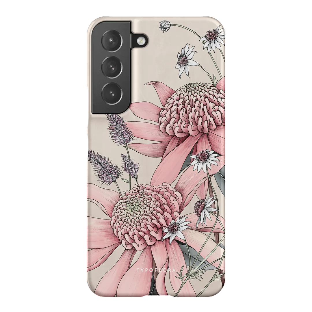 Pink Waratah