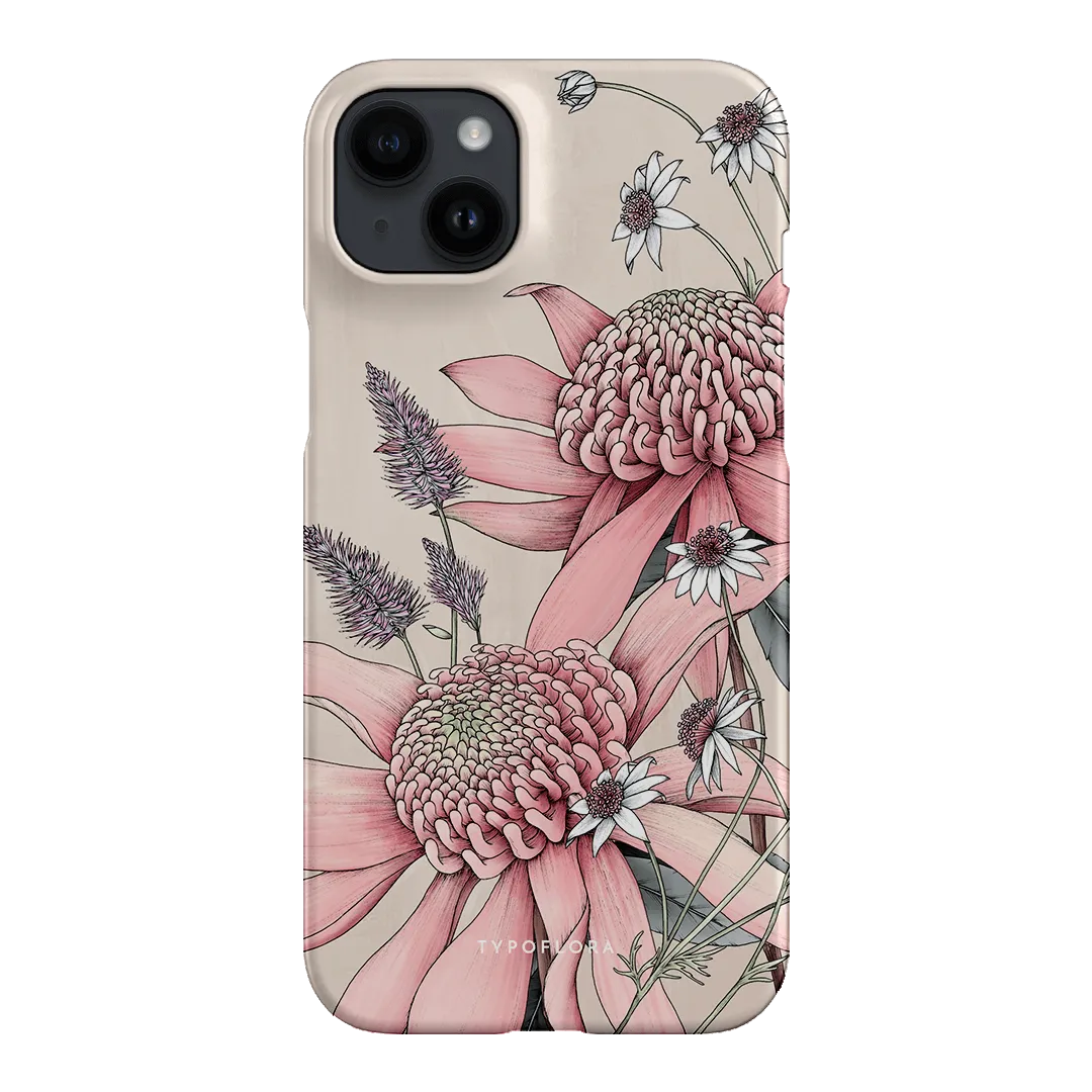 Pink Waratah