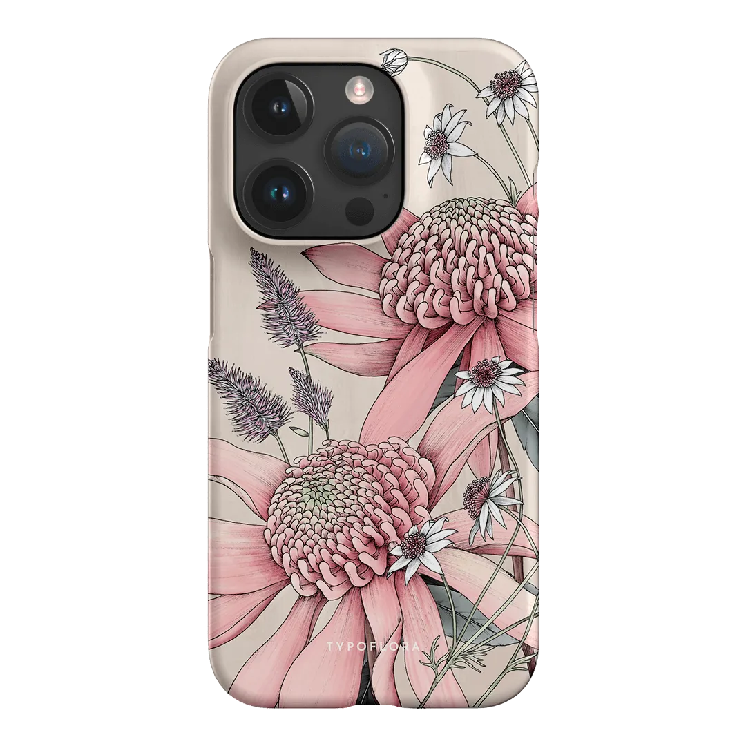 Pink Waratah