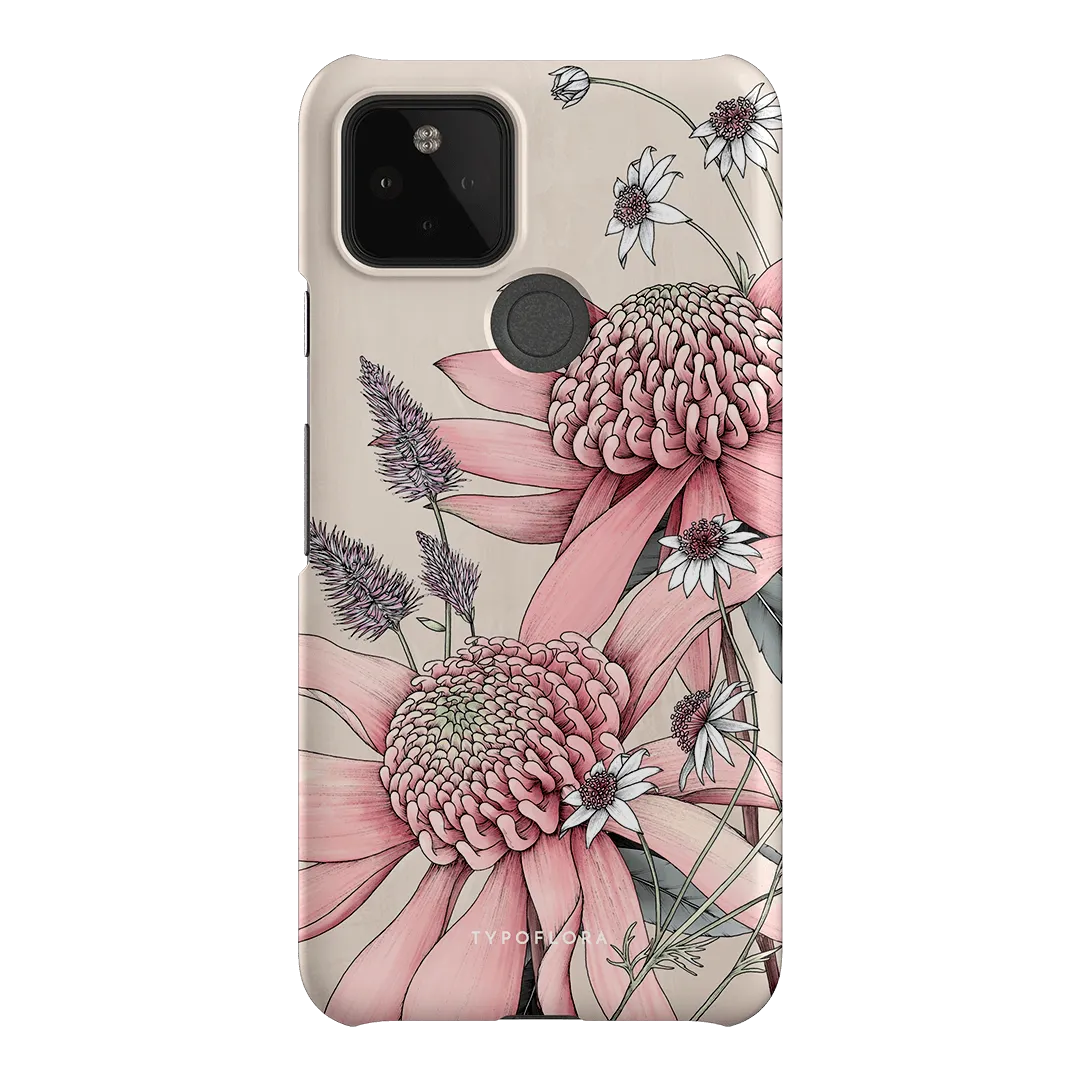 Pink Waratah