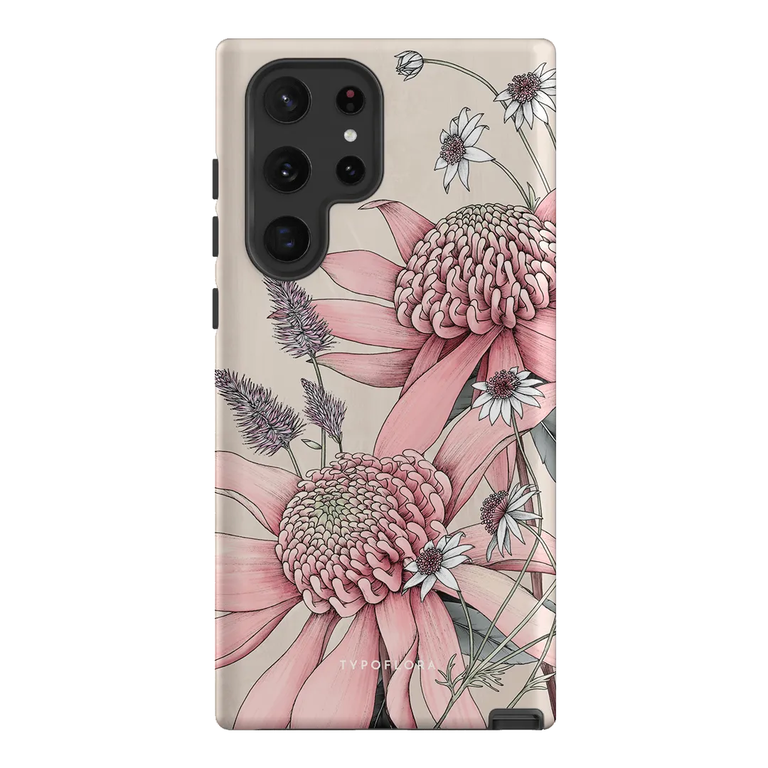 Pink Waratah