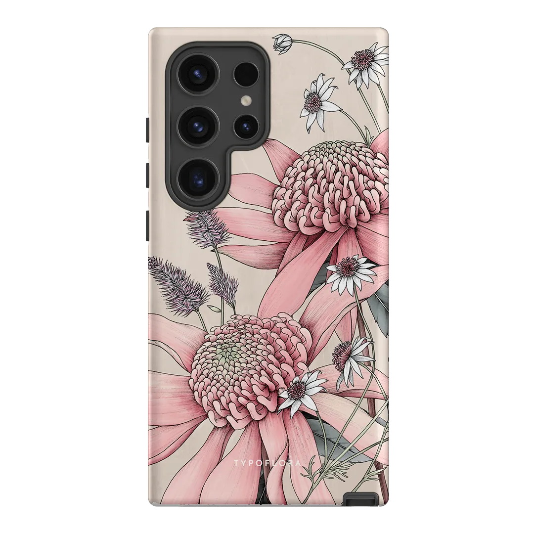 Pink Waratah