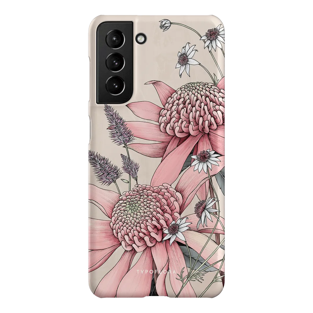Pink Waratah