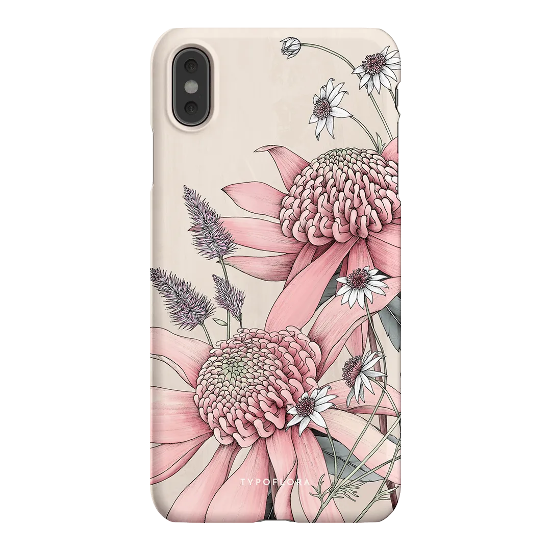 Pink Waratah