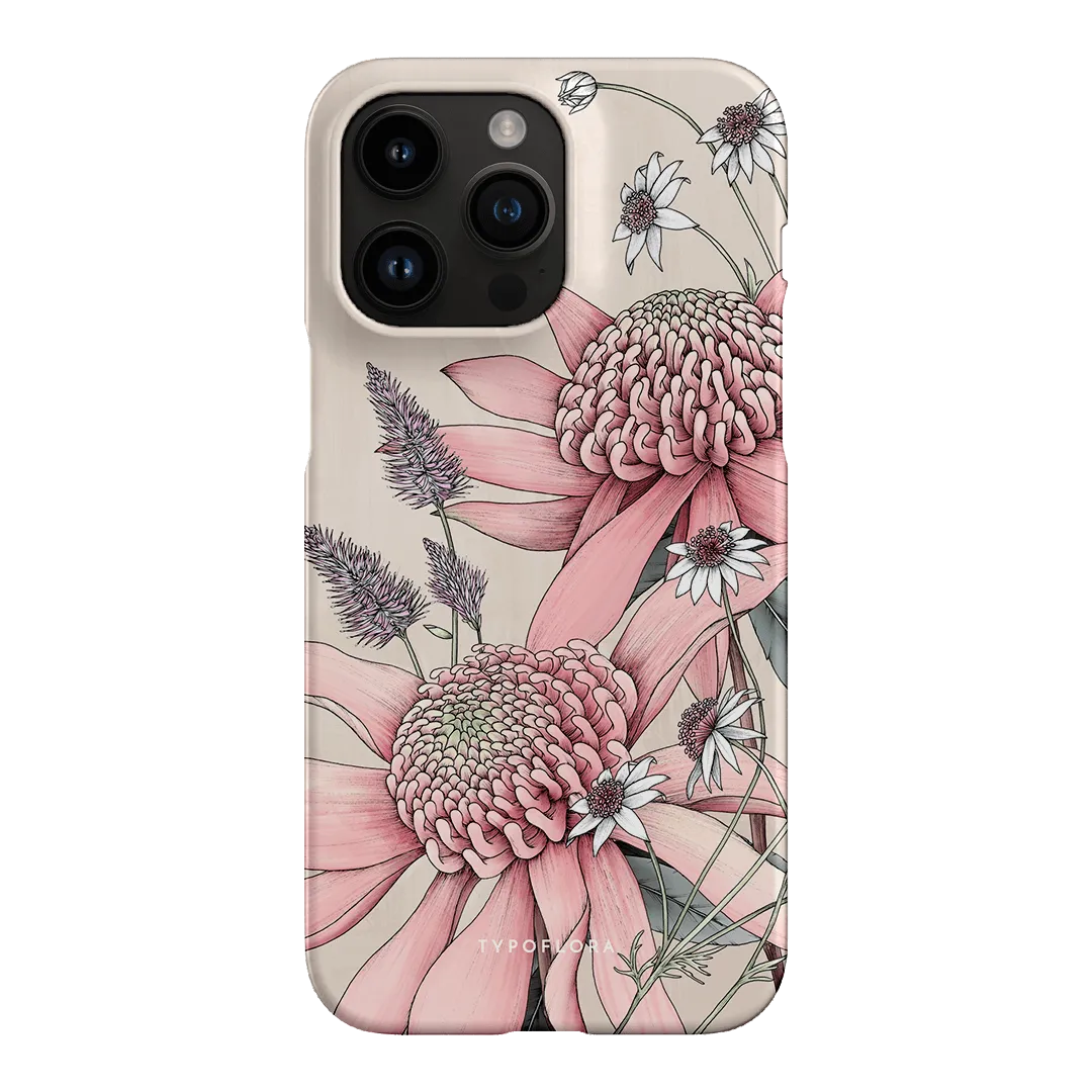 Pink Waratah