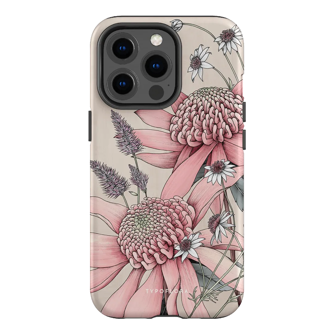 Pink Waratah