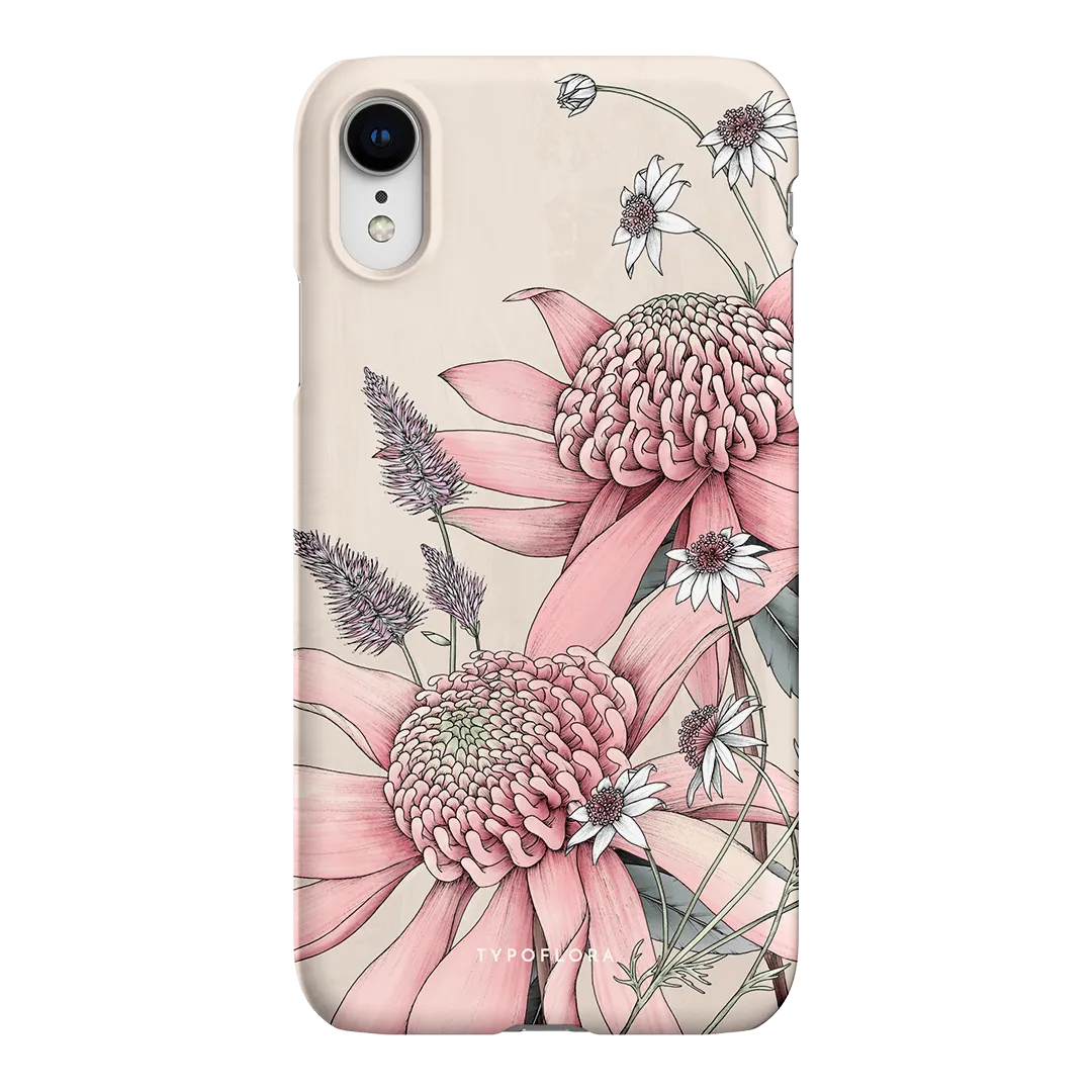 Pink Waratah