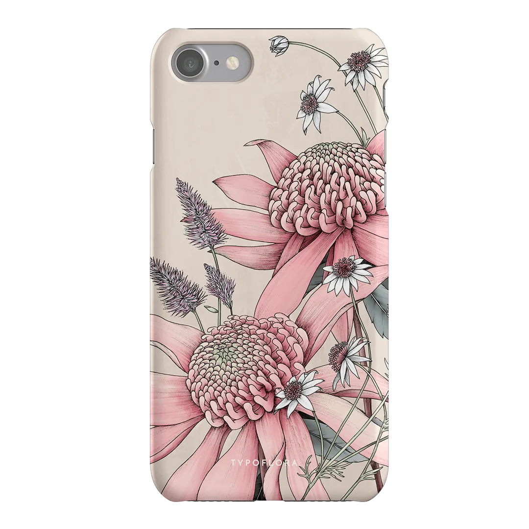 Pink Waratah