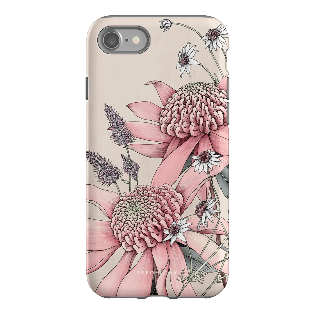 Pink Waratah