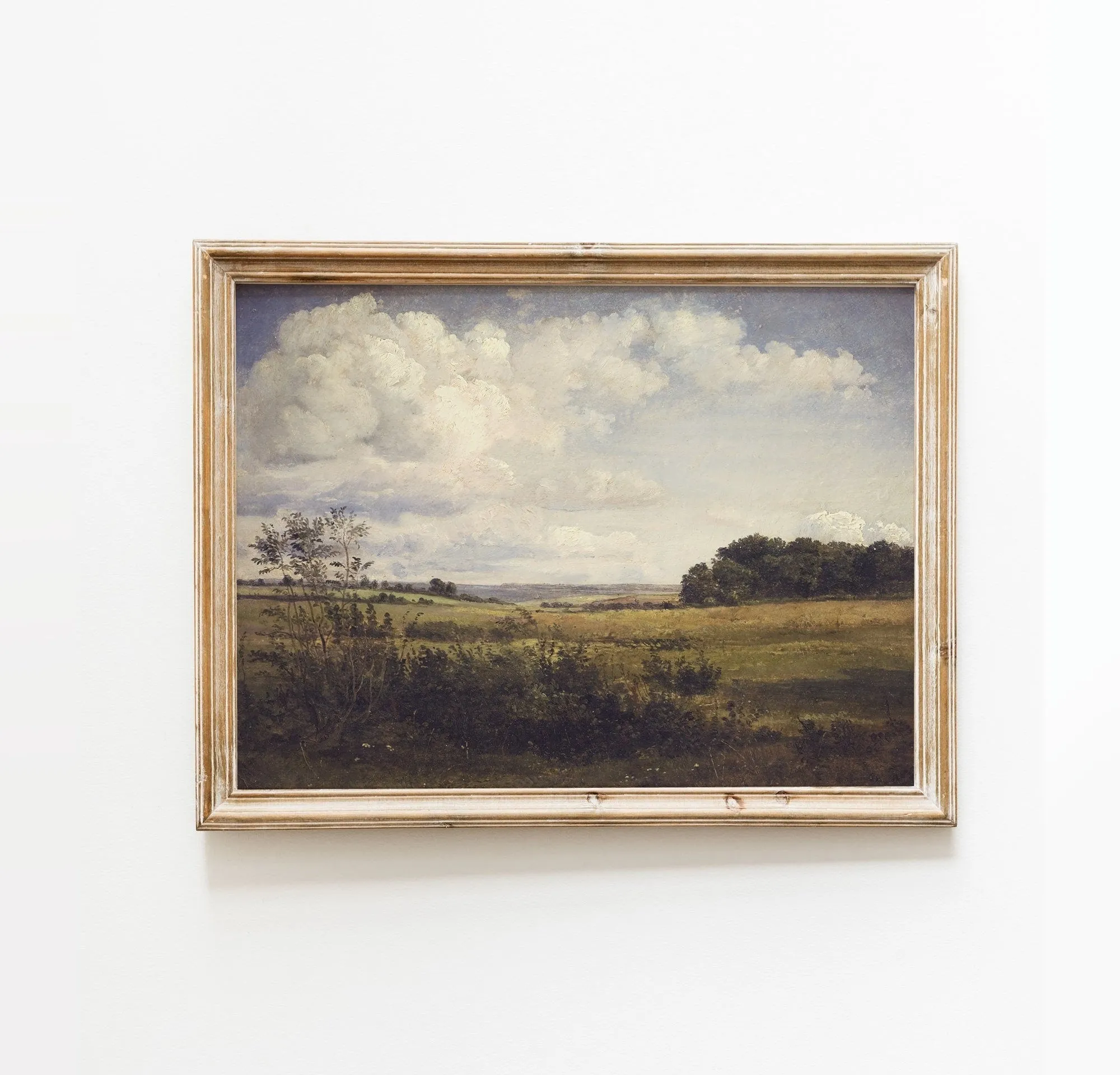 Printed Vintage Gallery Wall Art