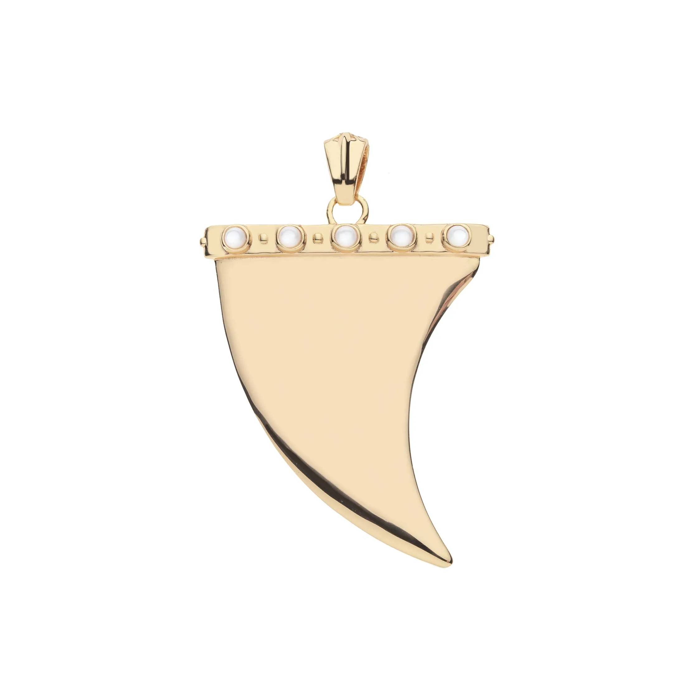 PROTECT Shark Tooth Pendant