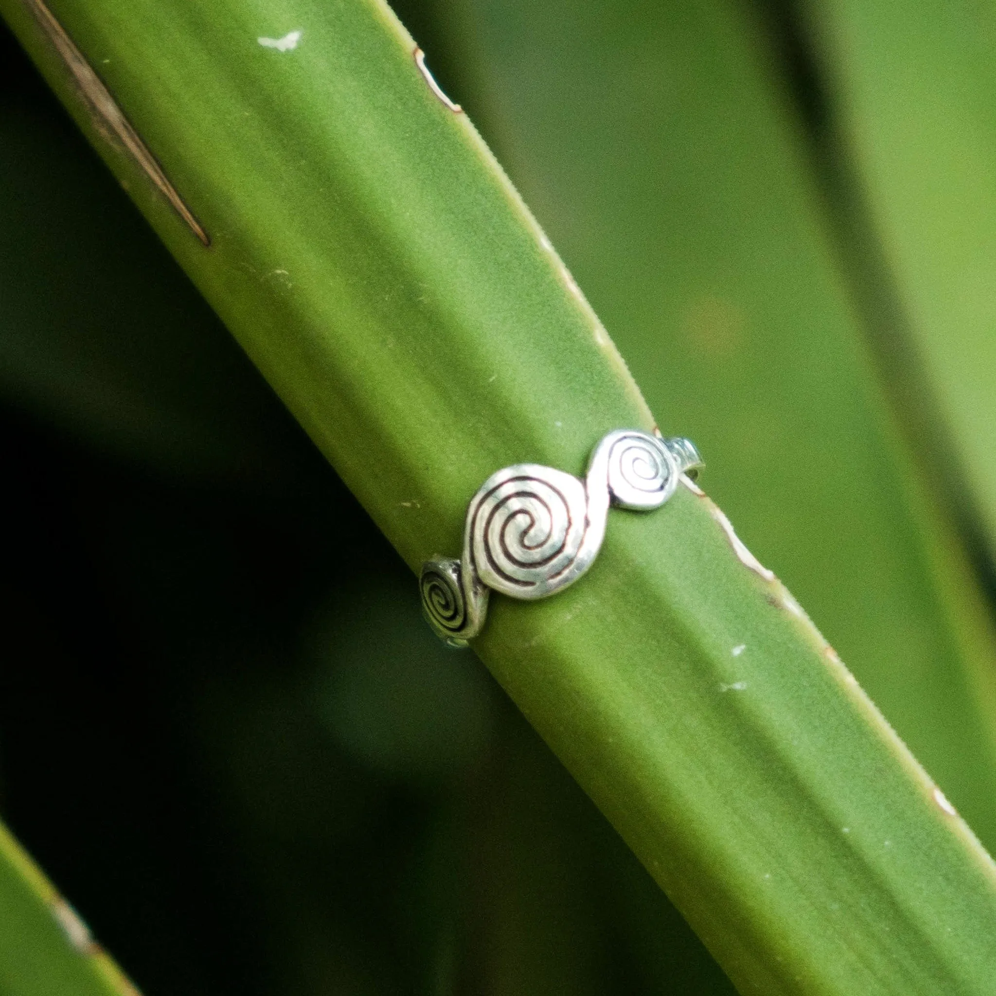 Silver Scroll Ring